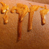 texture shot of the golden glitter shimmer oil dripping down a womans leg to show the pigmentation of the boil on black skin